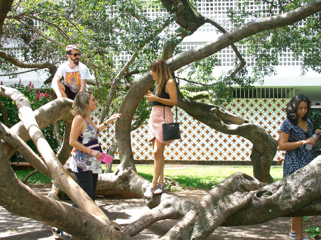 Superquadra Experience-巴西利亚必去景点