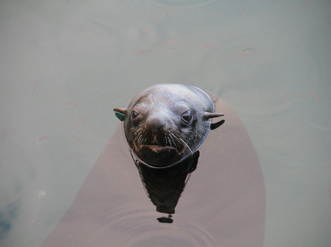 St James Beach-Muizenberg必去景点