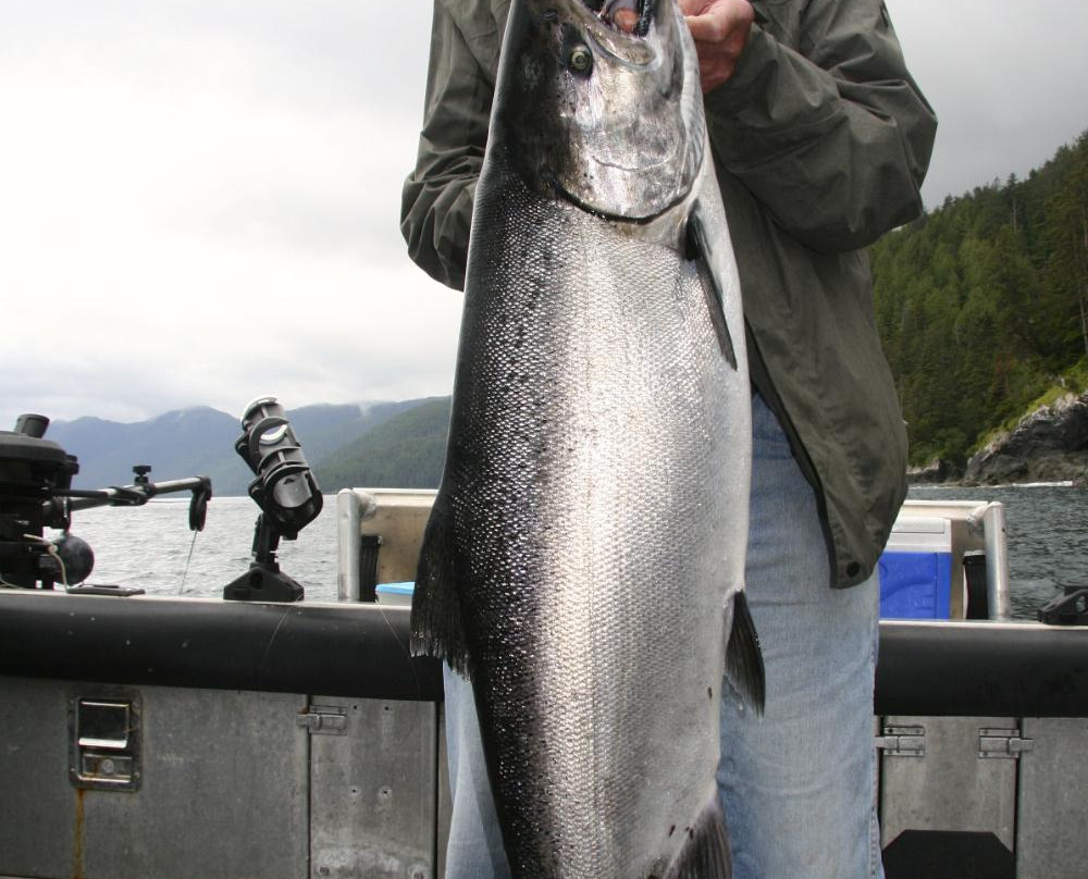West Wave Fishing-哈迪港必去景点