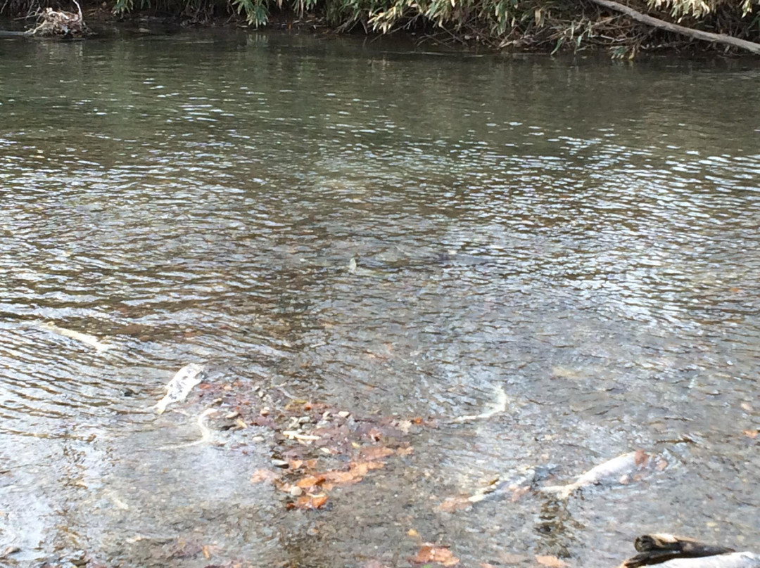 Shiraoi Tourist Information Center-白老町必去景点