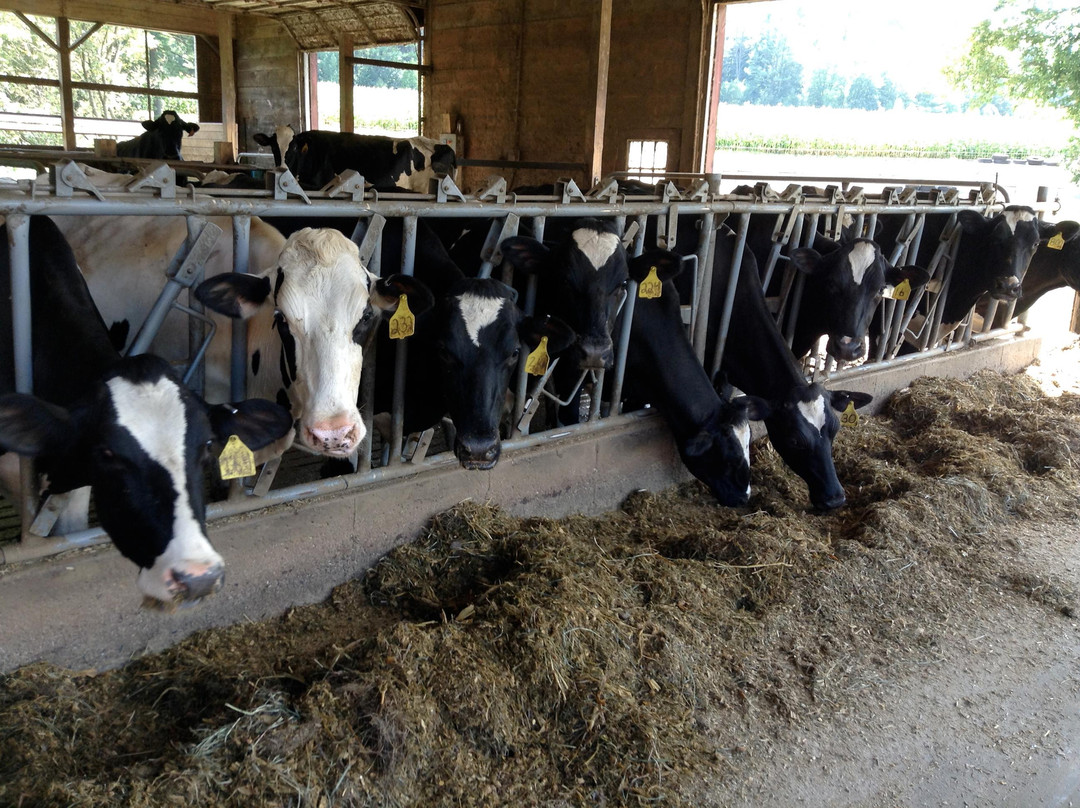 Mac's Maple-Plainfield必去景点