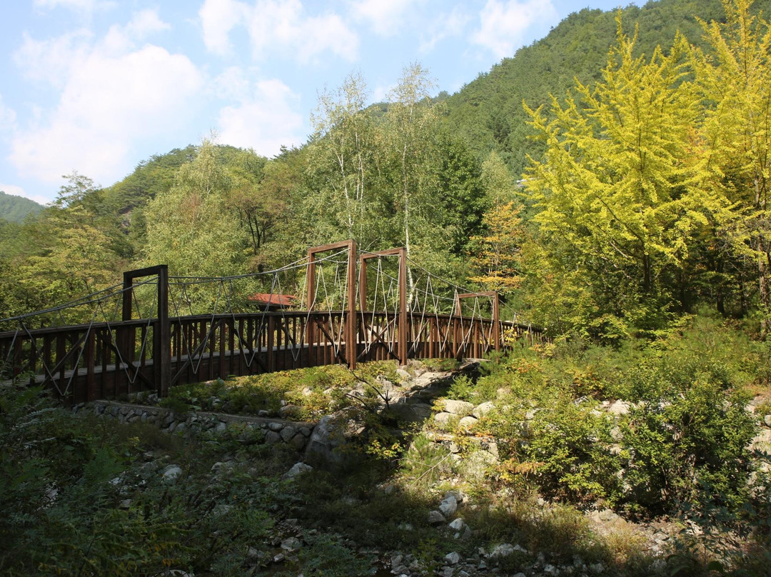 Gagok Natural Recreation Forest