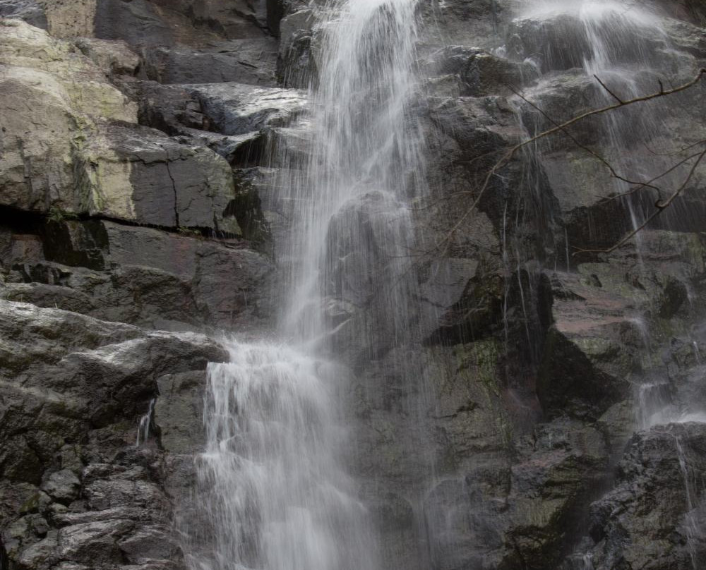 Bluff Falls-Cudgewa必去景点