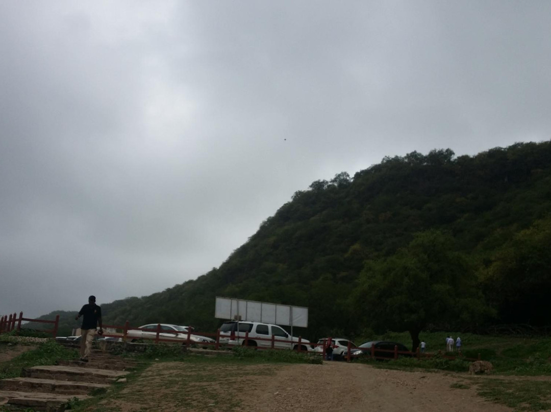 Best Shore Trips Salalah-塞拉莱必去景点