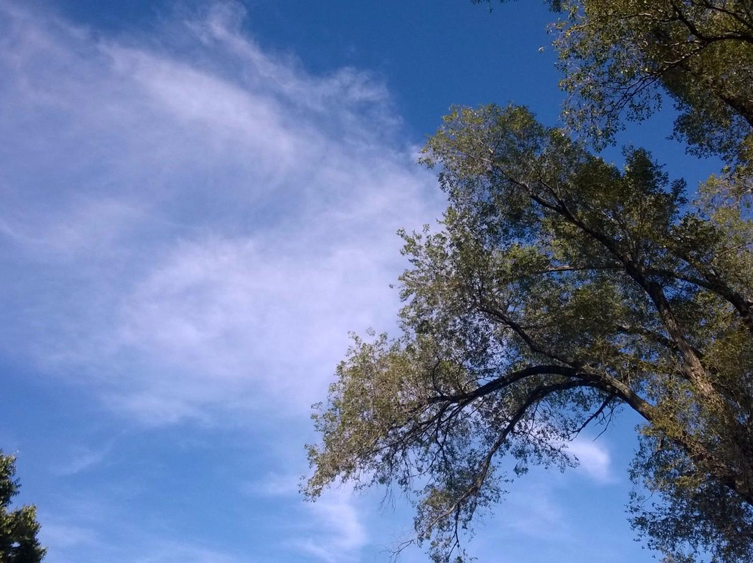 Founders Park-亚历山德里亚必去景点