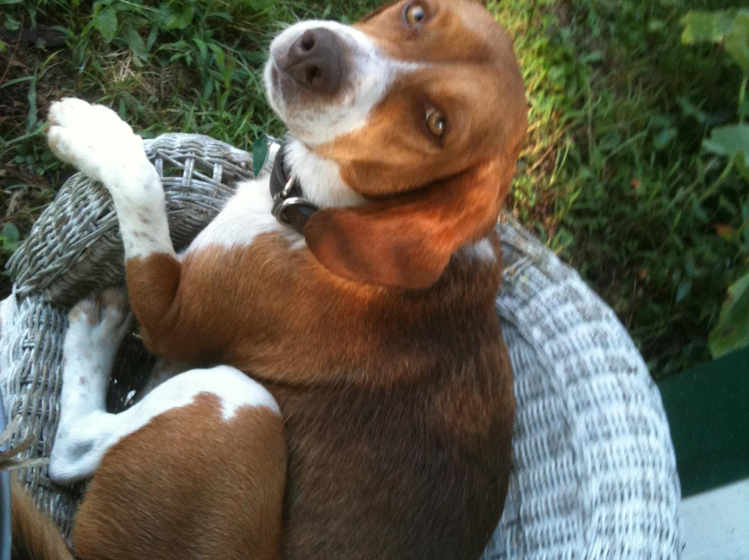 Baldwin Farms-里士满必去景点