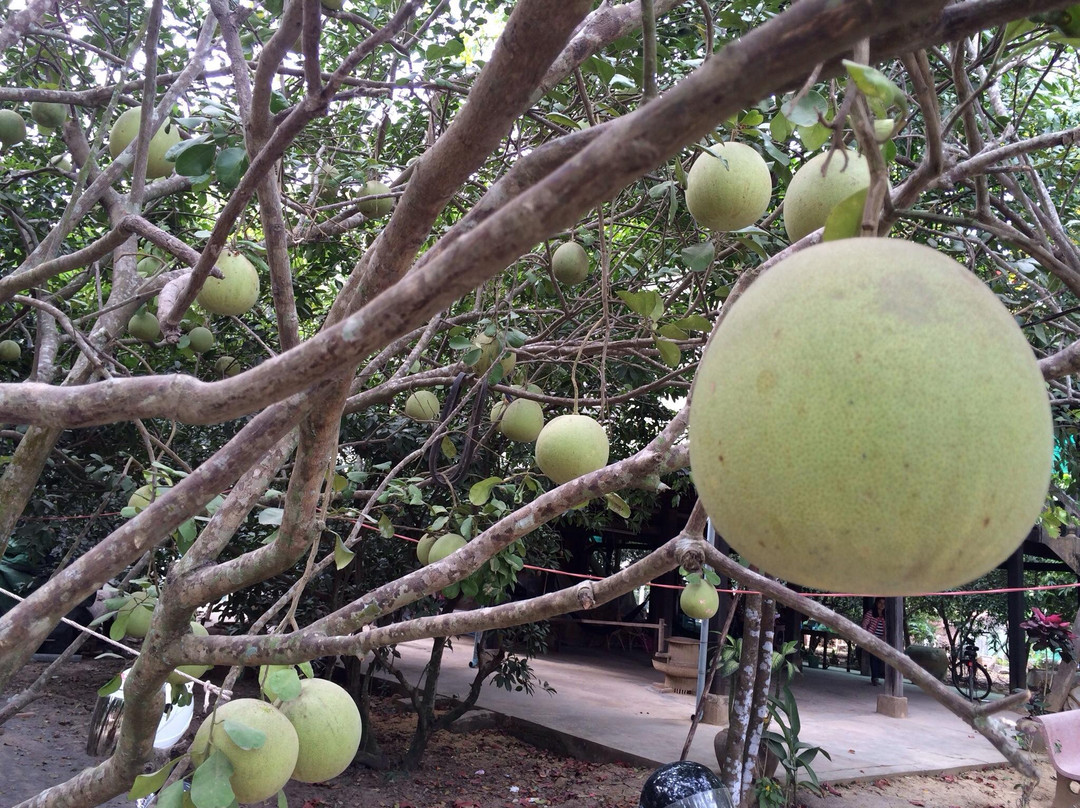 Mrs. Bun Roeung's Ancient House-马德望必去景点