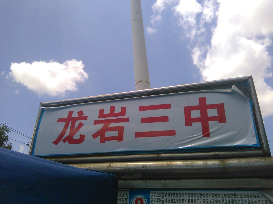 龙岩东肖森林公园景点图片