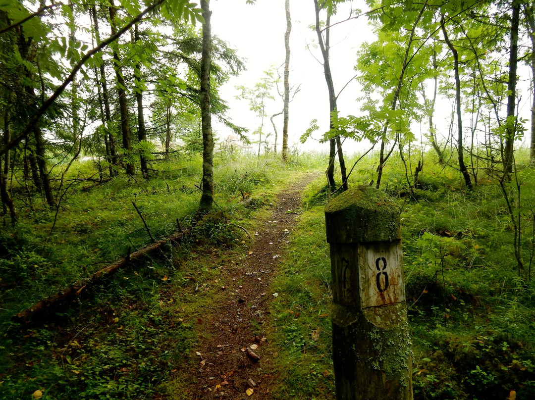 Lahemaa National Park旅游攻略图片