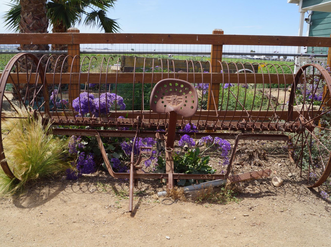 McGrath Family Farm-卡马里奥必去景点