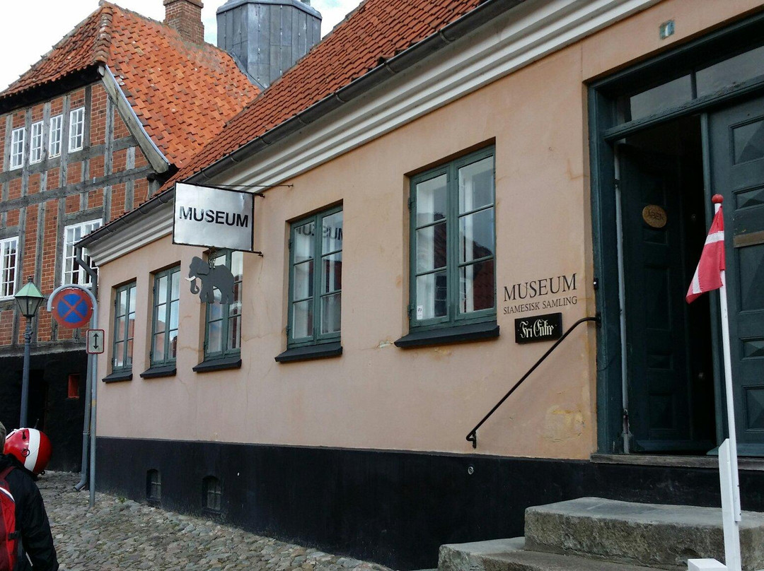 Museum Ostjylland Ebeltoft景点图片