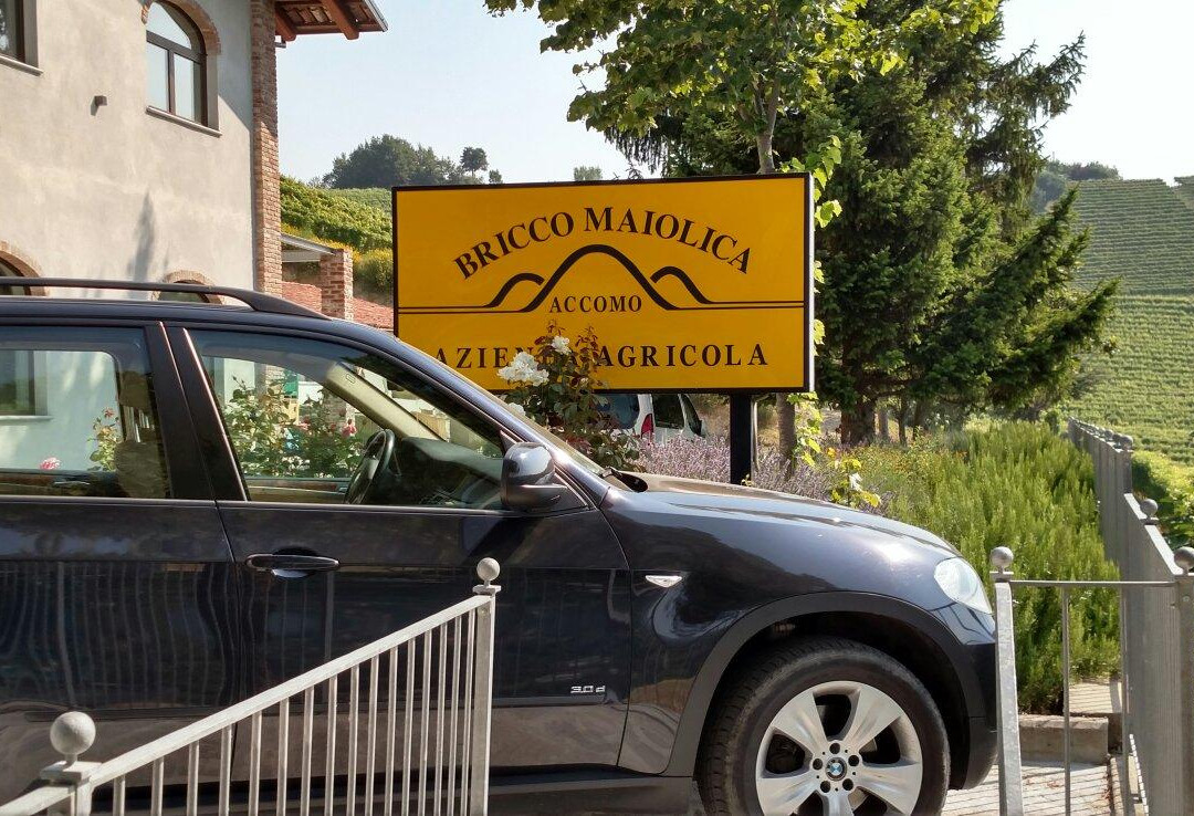 Azienda Agricola Bricco Maiolica景点图片