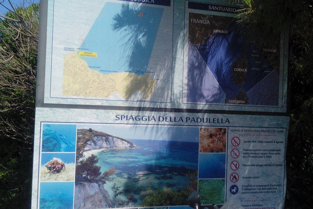 Spiaggia di Padulella景点图片