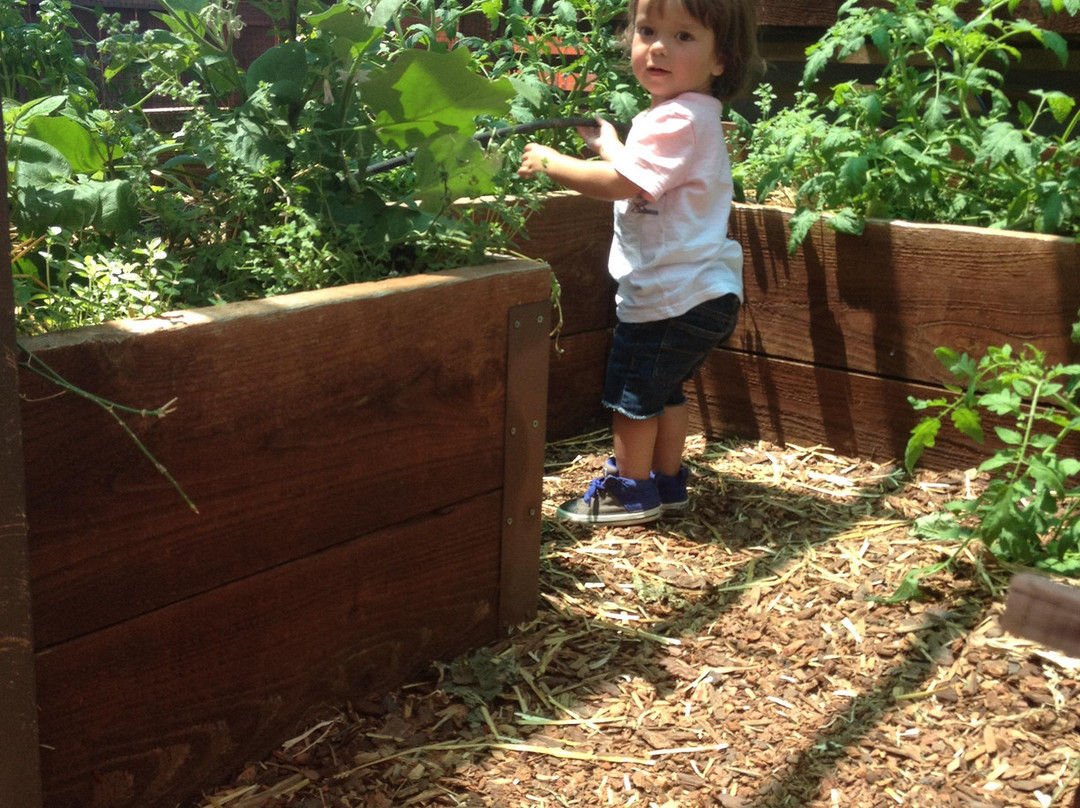 San Diego Children's Discovery Museum景点图片