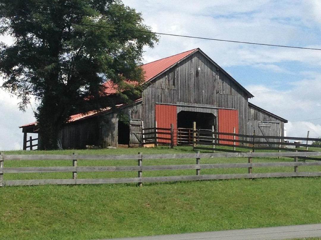 Tweetsie Trail-约翰逊城必去景点