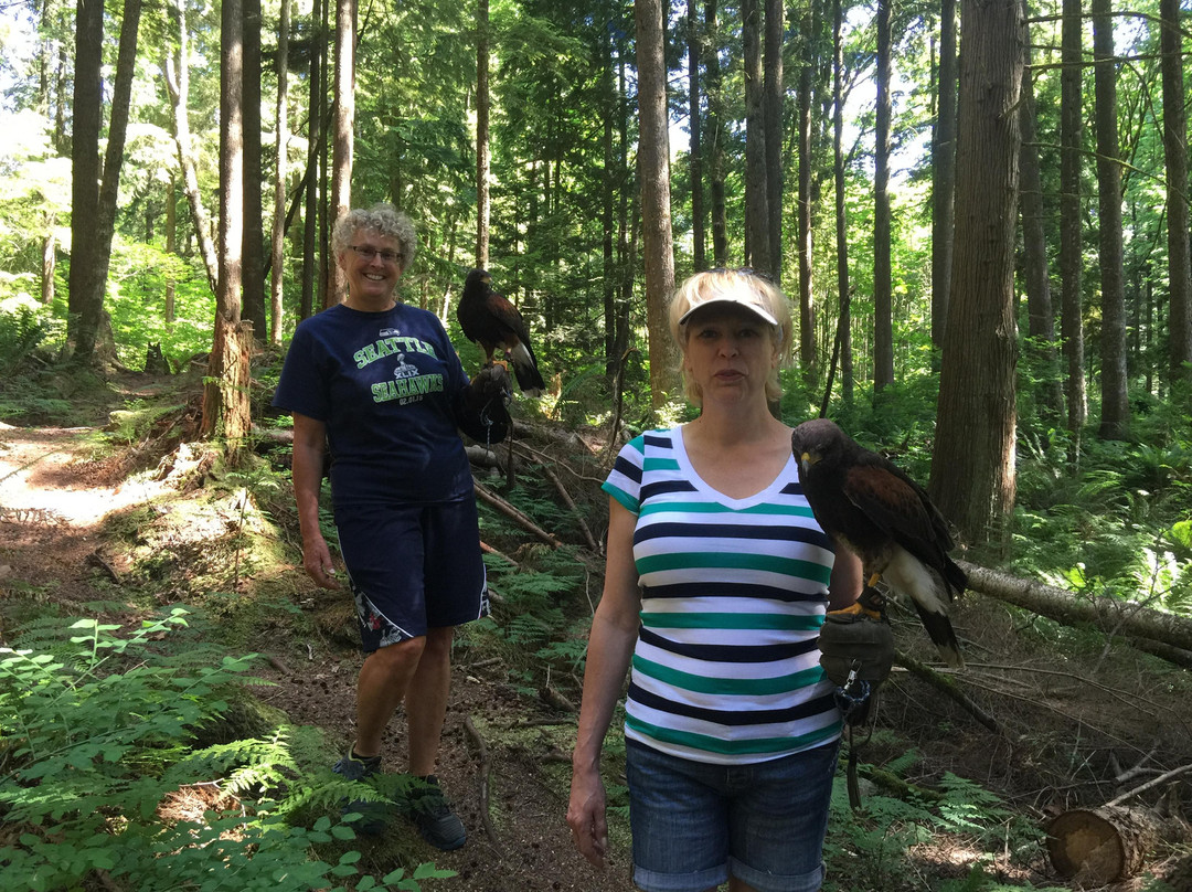 Raptors Ridge-枫树岭必去景点