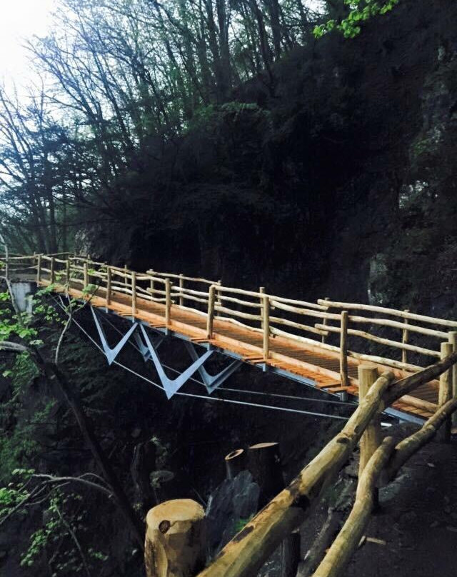 Tibetan bridge "Carasc"景点图片
