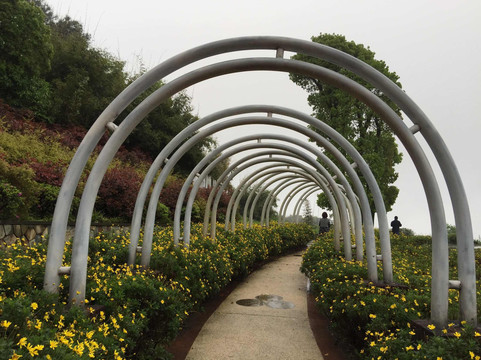 铁山坪森林公园-重庆市必去景点