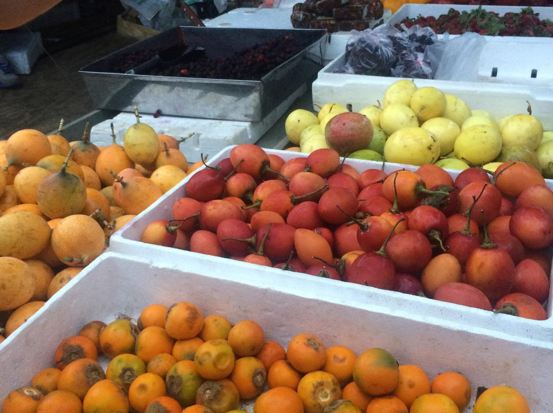 Farmers Fair (Ferias del Agricultor)景点图片
