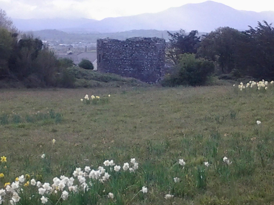 Aghadoe Church and Round Tower-基拉尼必去景点