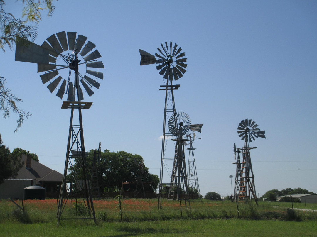 The Windmill Farm-Tolar必去景点
