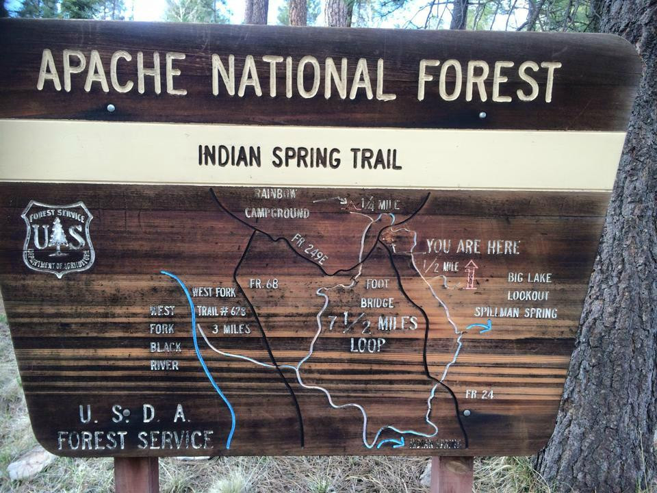 Apache-Sitgreaves National Forest-Springerville必去景点