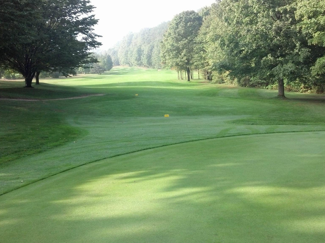 Timber Wolf Golf Club景点图片
