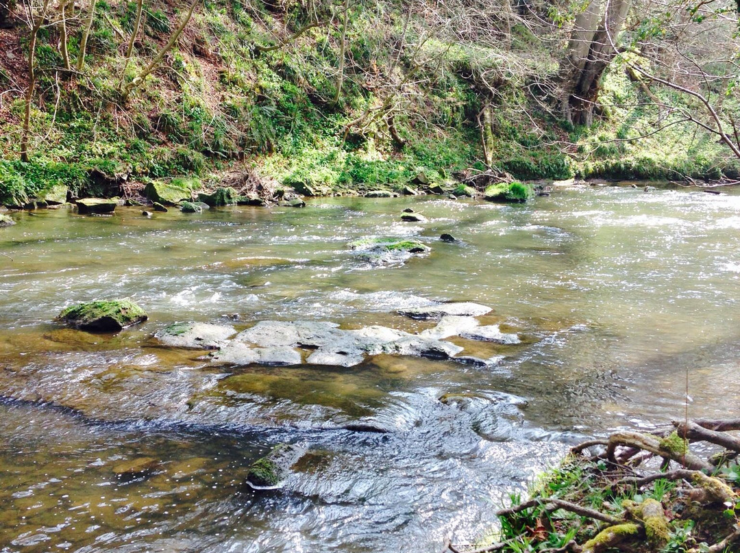 Plessey Woods Country Park-Bedlington必去景点