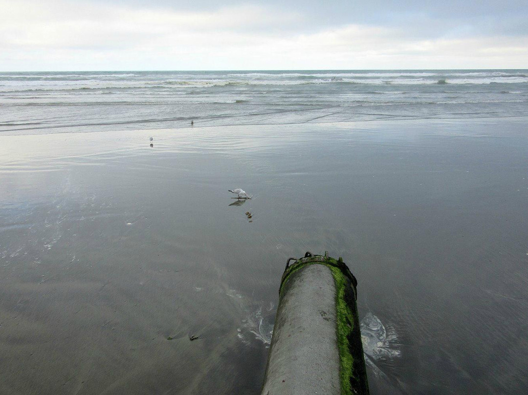 Waimairi Beach-基督城必去景点