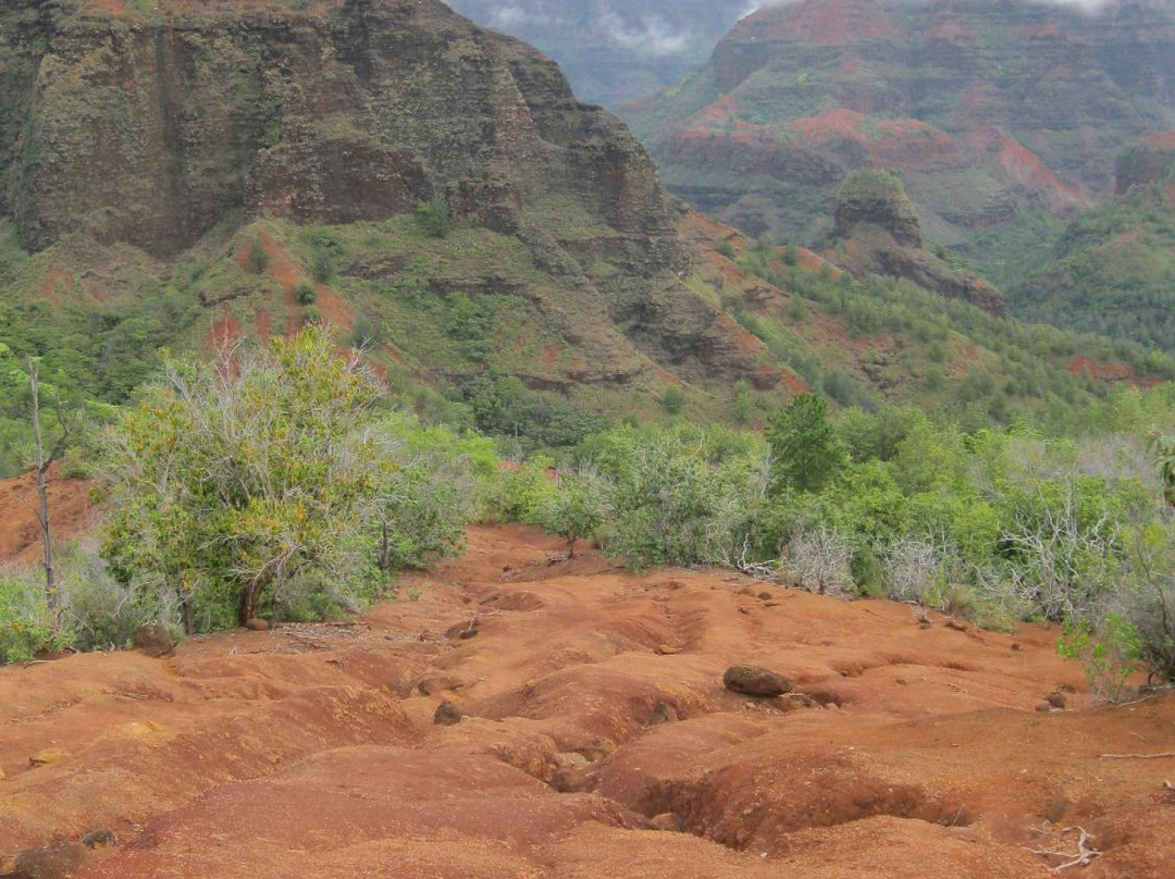 Kukui Trail-威美亚必去景点