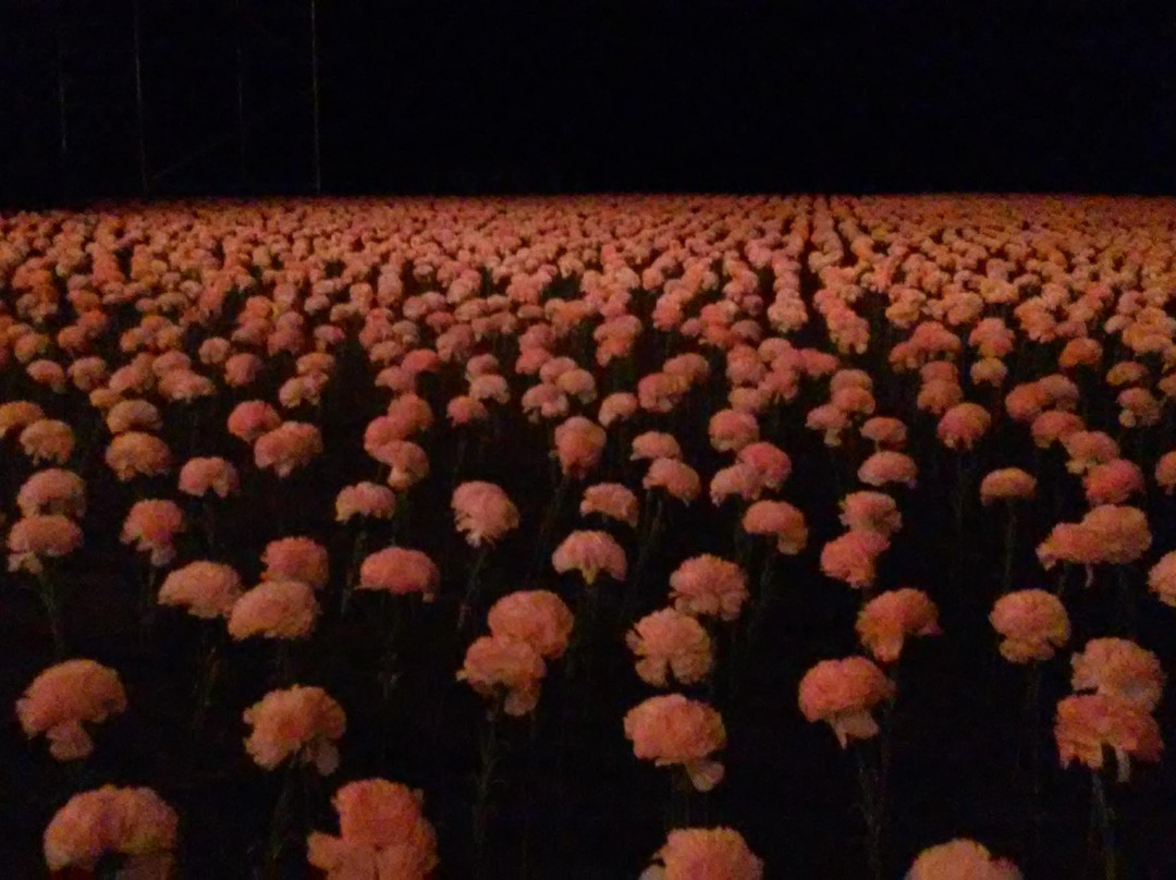 Tanztheater Wuppertal-伍珀塔尔必去景点