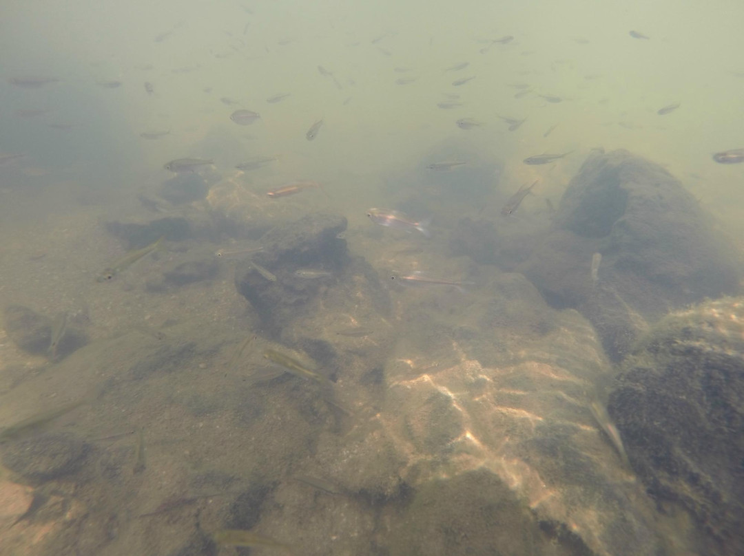 Praia do Caçari-Boa Vista必去景点