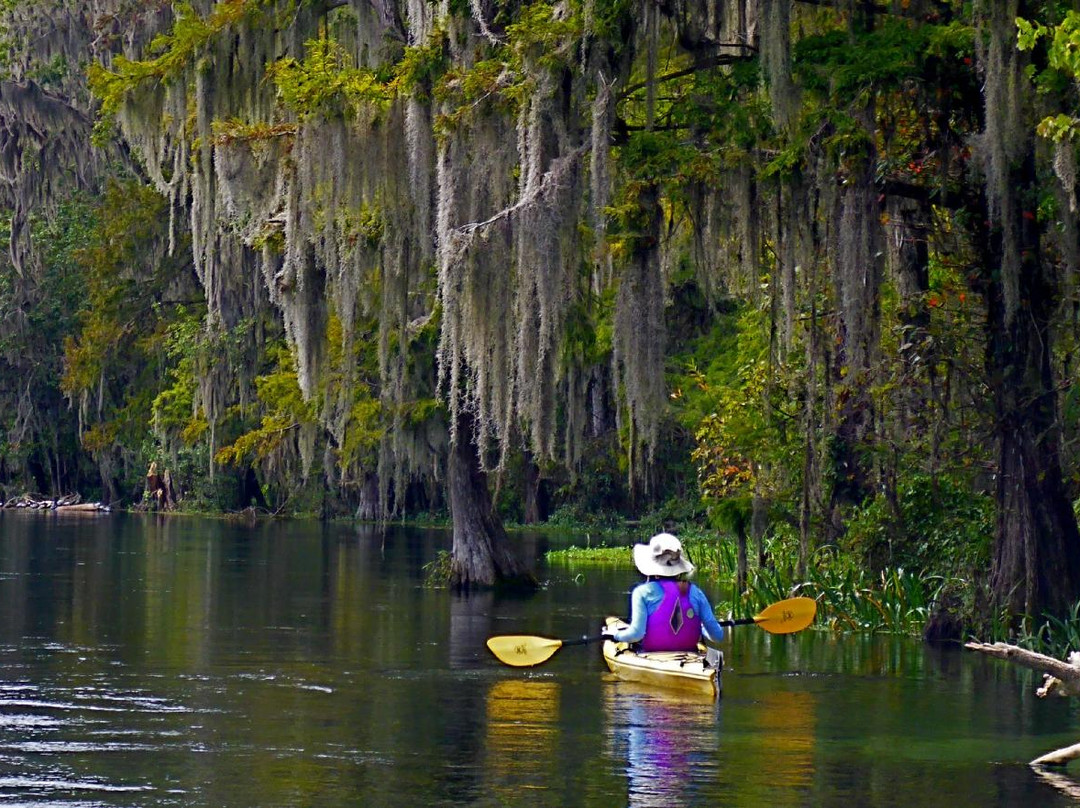 Lower Wekiva River State Preserve-桑福德必去景点
