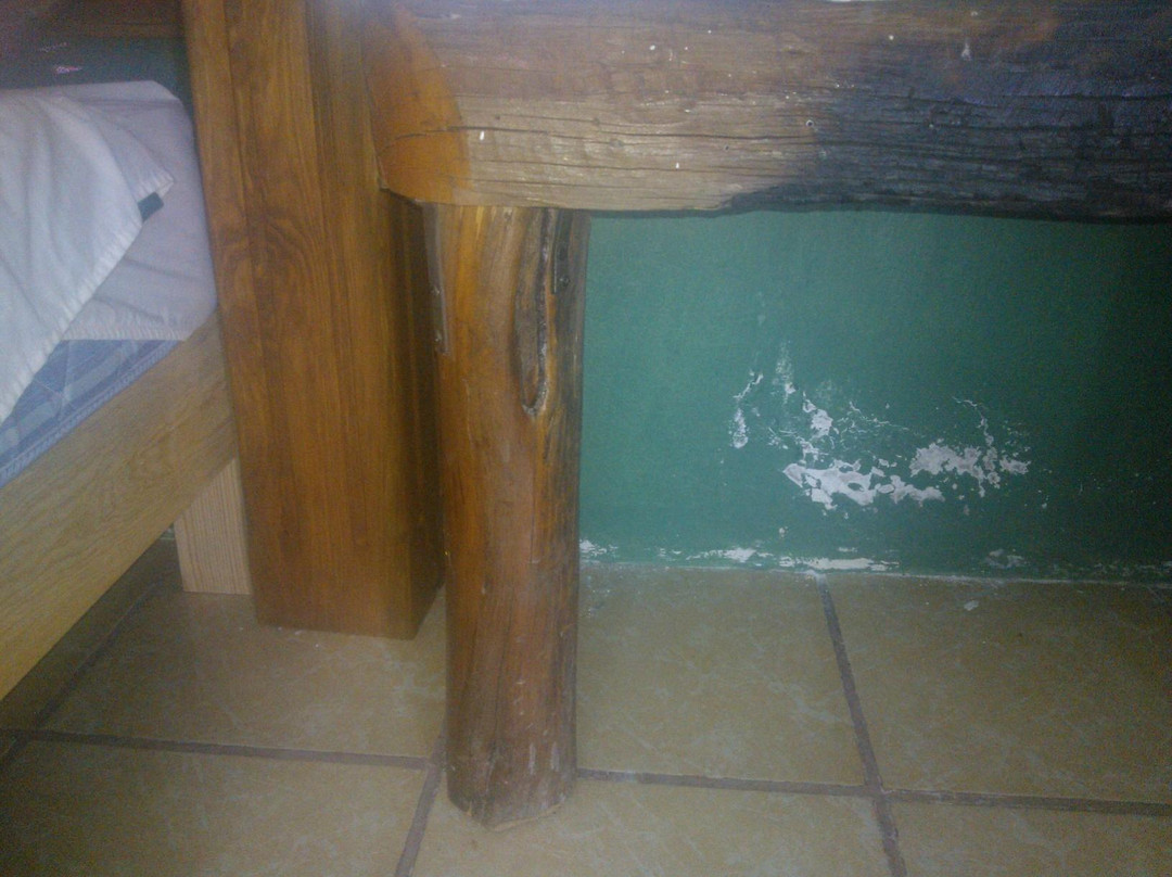 Cabañas Cumbres de Aguacatitla主图