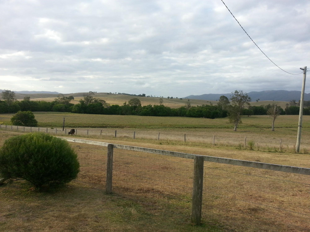 Kilcoy Gardens Motor Inn主图