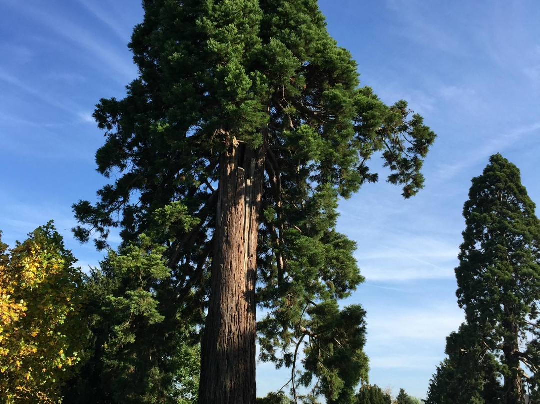 Parc Culturel de Rentilly - Michel Chartier景点图片