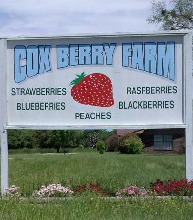 Cox Berry Farm & Nursery-Clarksville必去景点
