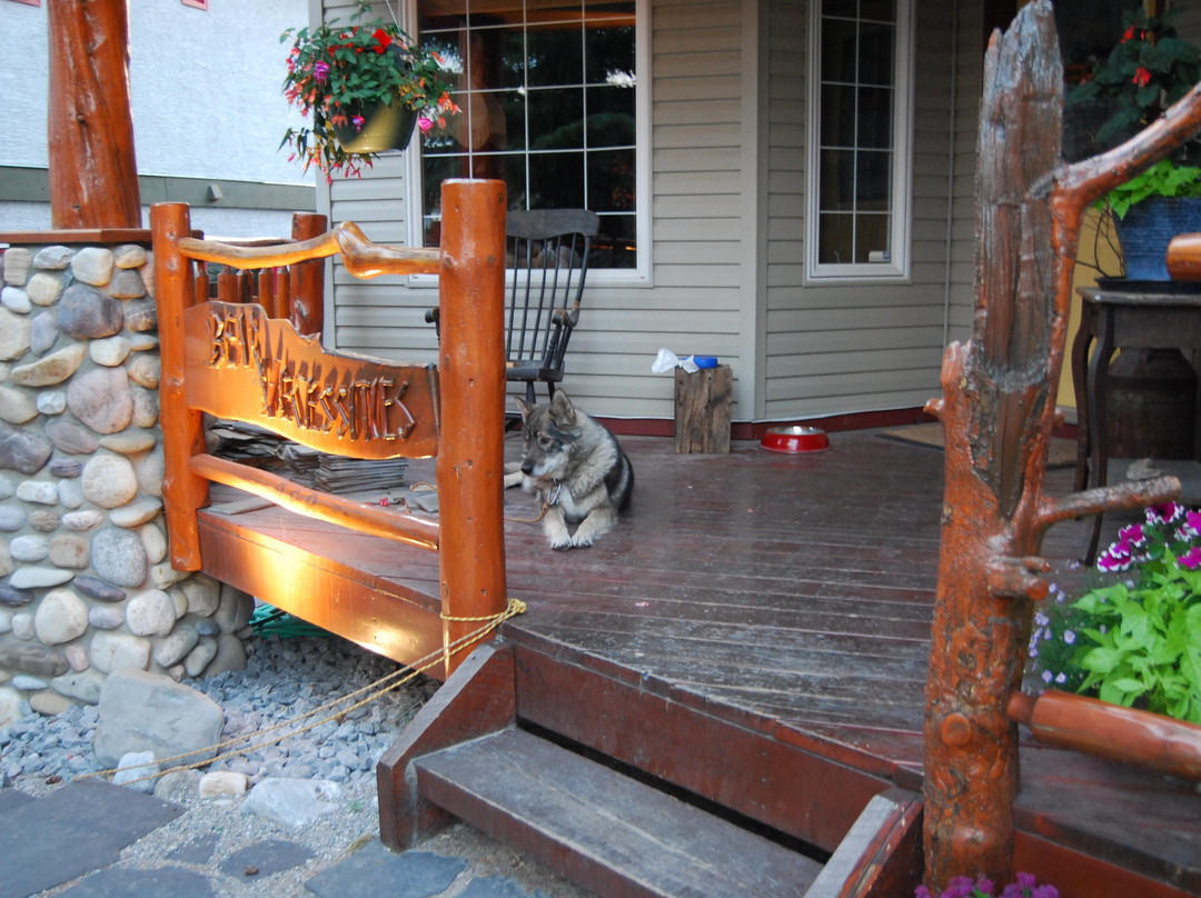 Bear Necessities B&B主图