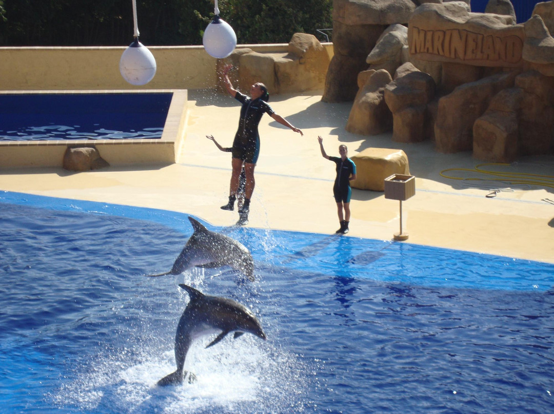 Marineland Catalunya-Palafolls必去景点