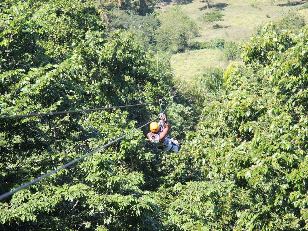 Mega Adventures-普拉塔港必去景点