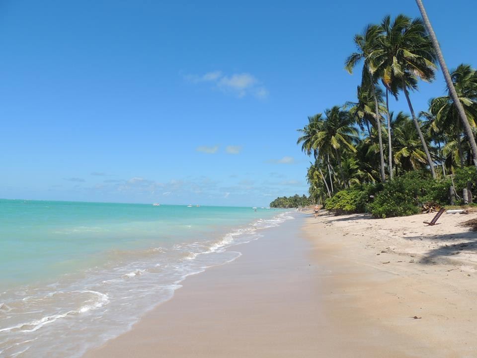 Praia Ponta de Mangue-Maragogi必去景点
