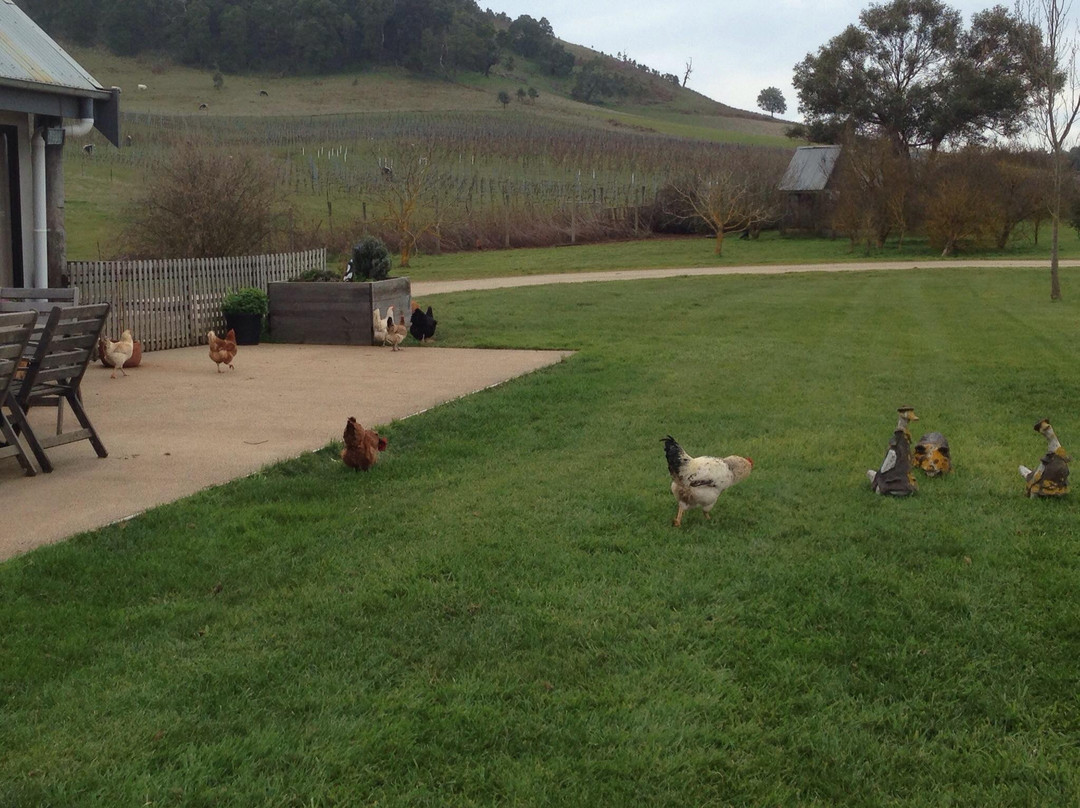 Hanging Rock Winery-Newham必去景点