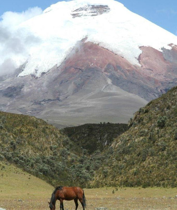 Dutchman Adventure-基多必去景点