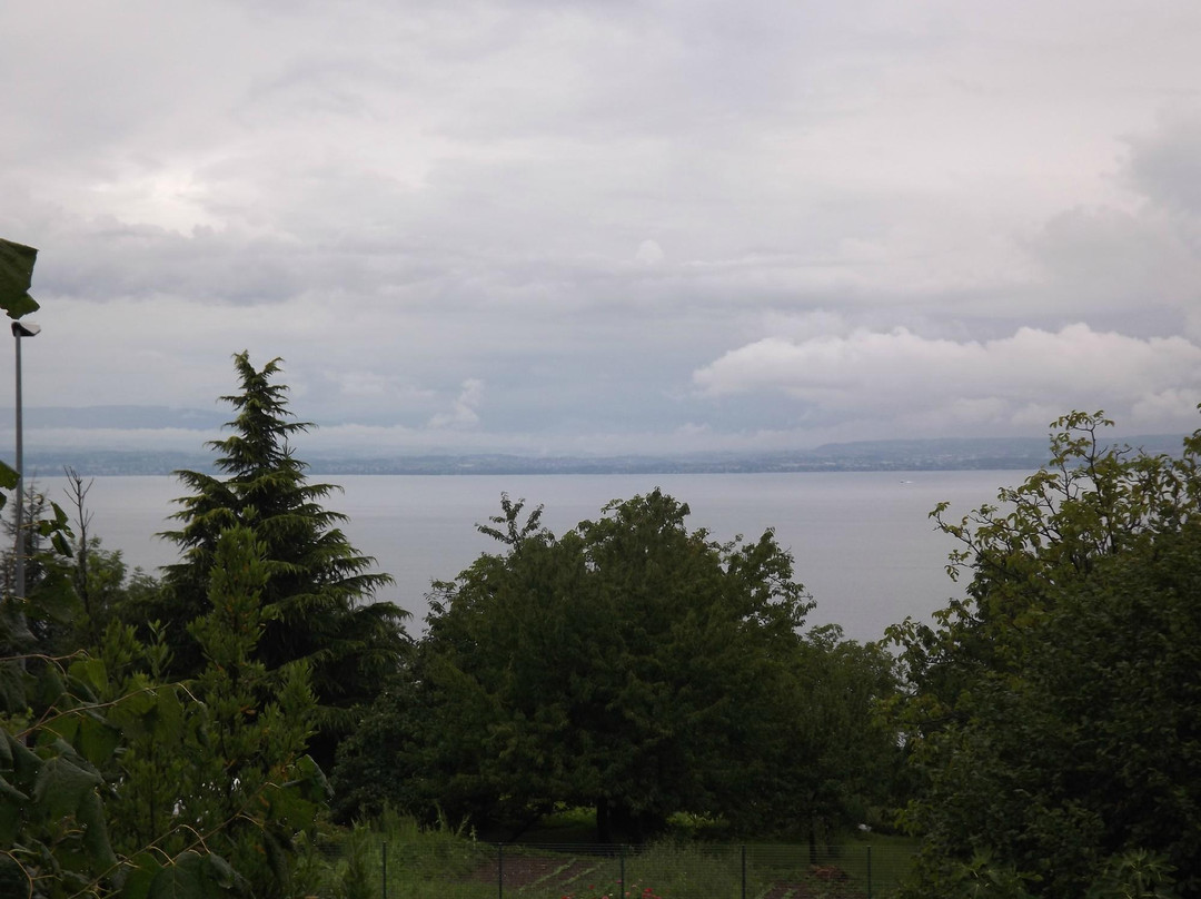 Les Pavillons Du Golf主图