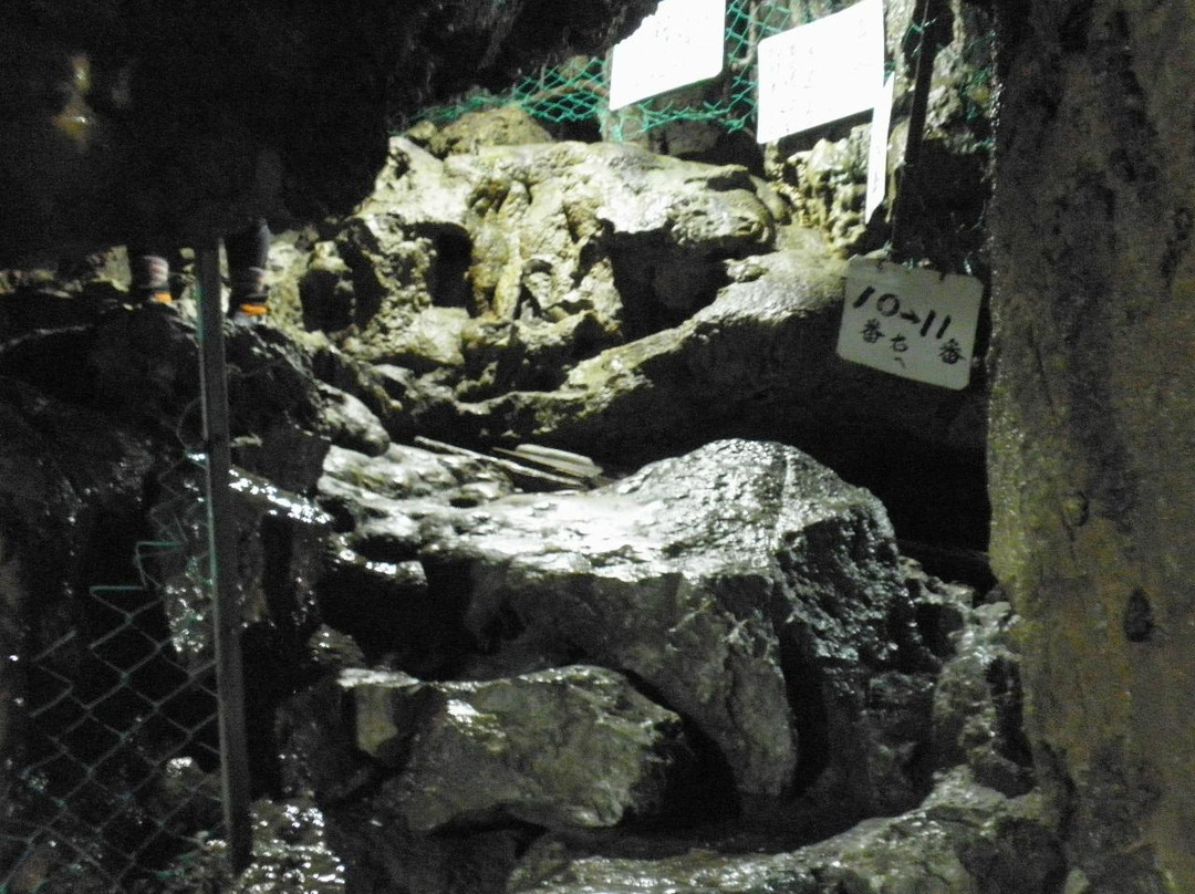 Otake Cave-秋留野市必去景点