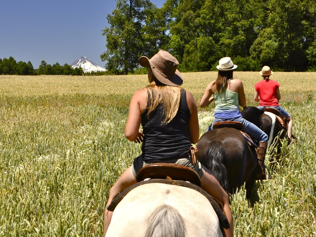 Corral del Sauce-维多利亚必去景点