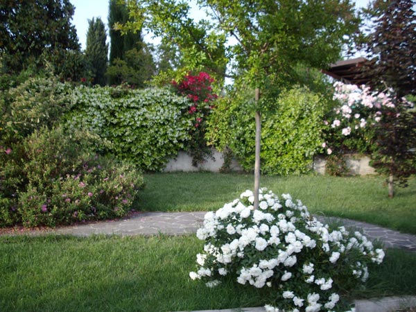 La Magnolia - Fano-官方