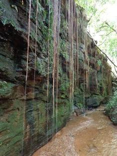 Cânion Sussuapara-Ponte Alta do Tocantins必去景点