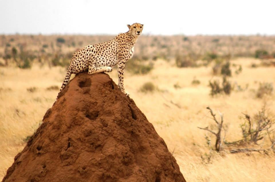 Mamasavana-马林地必去景点