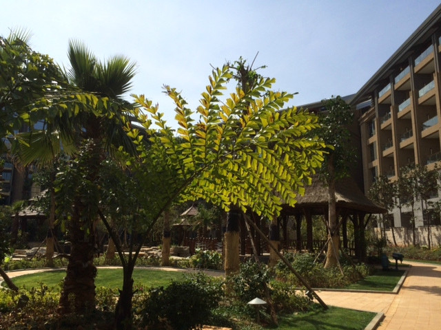 昆明洲际酒店主图